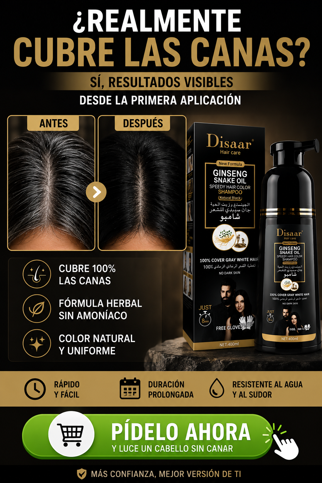 SHAMPOO PINTA CANAS