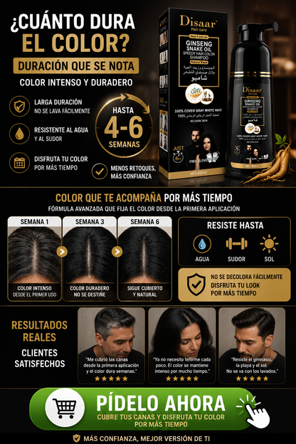 SHAMPOO PINTA CANAS