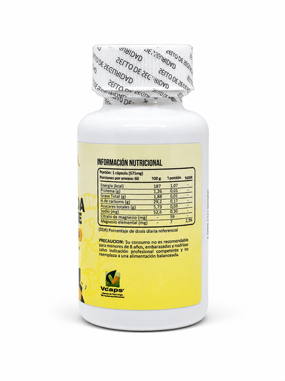 CANDIDA CLEANSE / Limpieza Digestiva