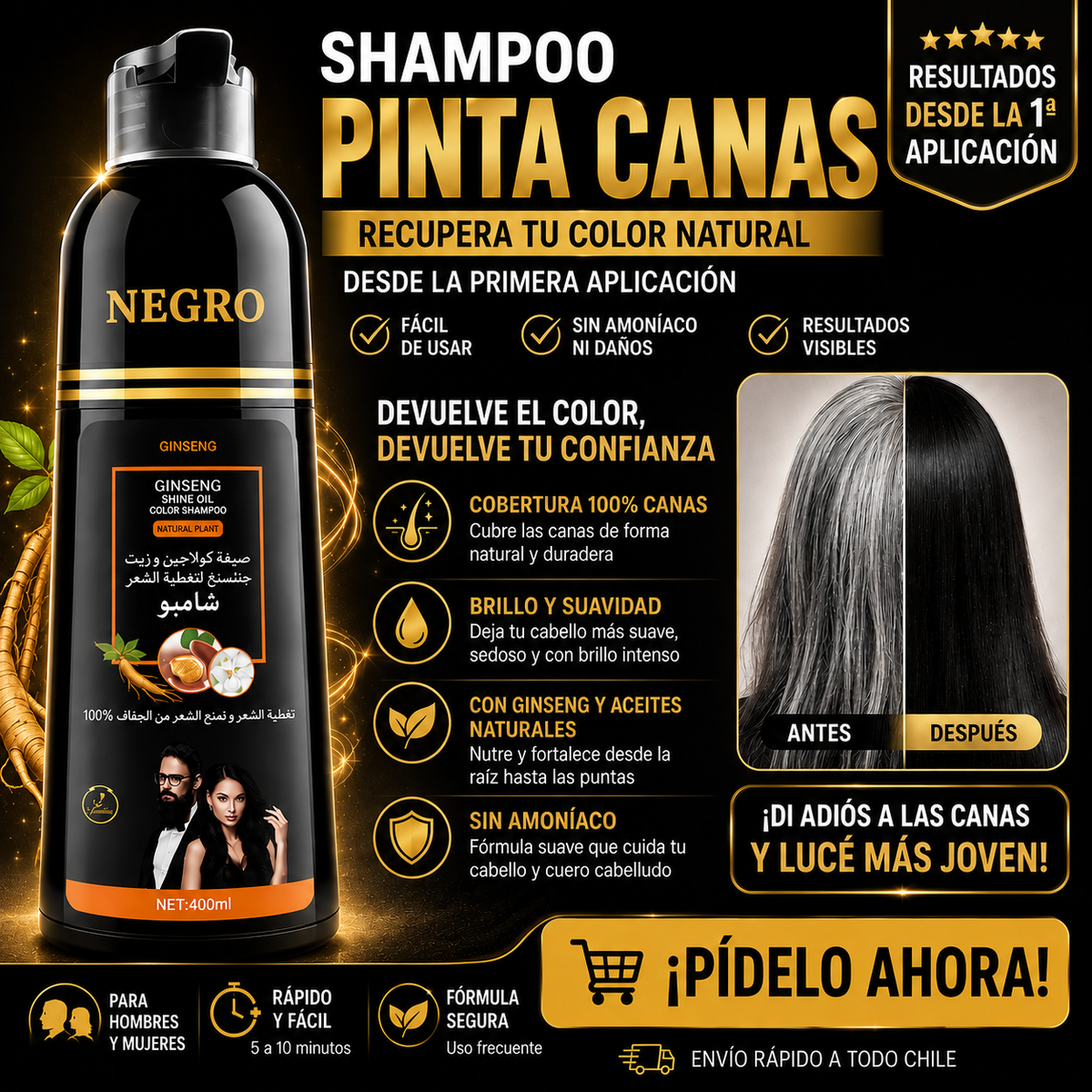 SHAMPOO PINTA CANAS