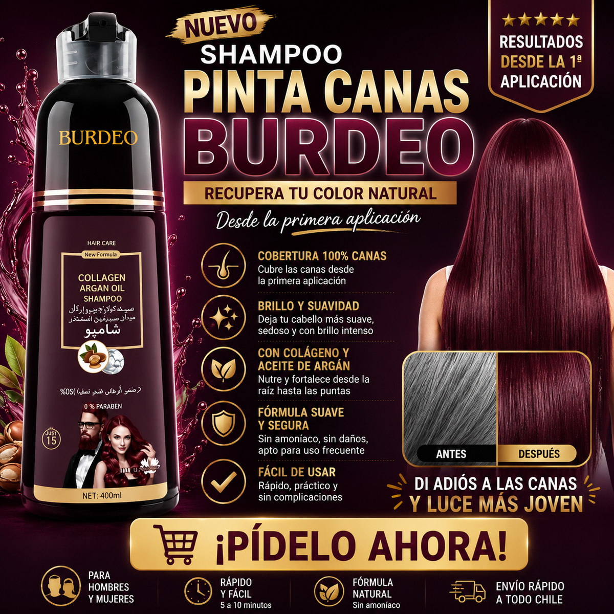 SHAMPOO PINTA CANAS