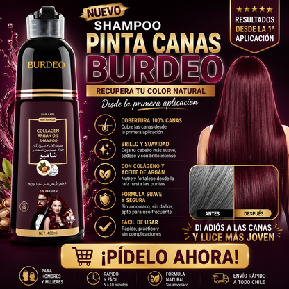 SHAMPOO PINTA CANAS