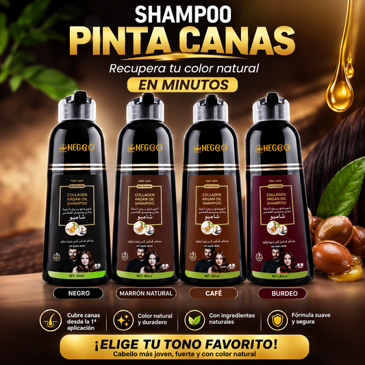 SHAMPOO PINTA CANAS