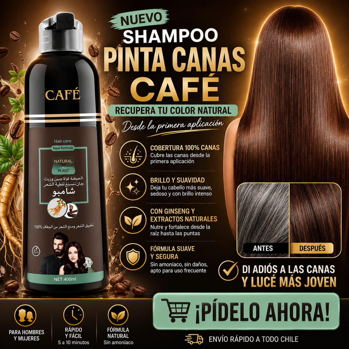 SHAMPOO PINTA CANAS